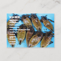 Fried Giant Water Bug (Maeng Daa) ... Asian Food
