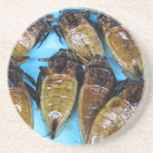 Fried Giant Water Bug (Maeng Daa) ... Asian Food Coaster