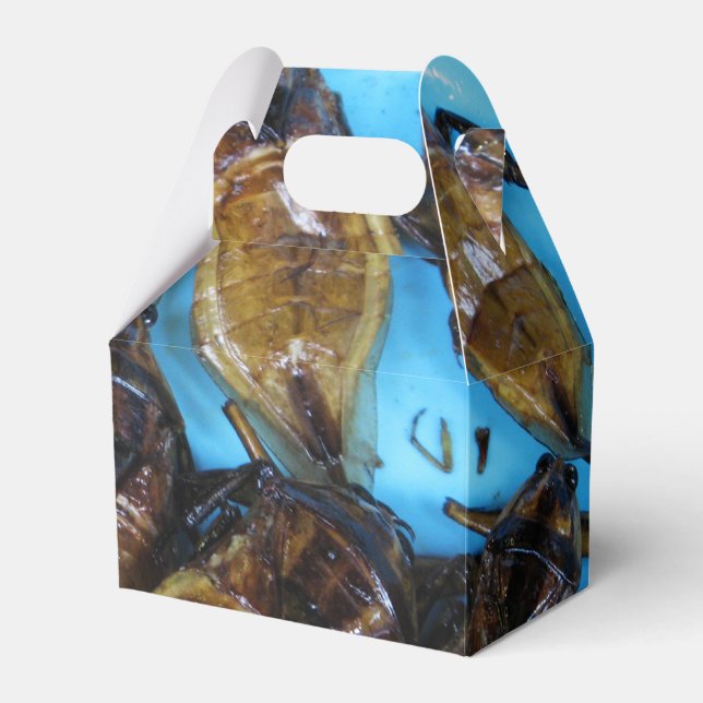 Fried Giant Water Bug (Maeng Daa) ... Asian Food Favor Box (Front Side)