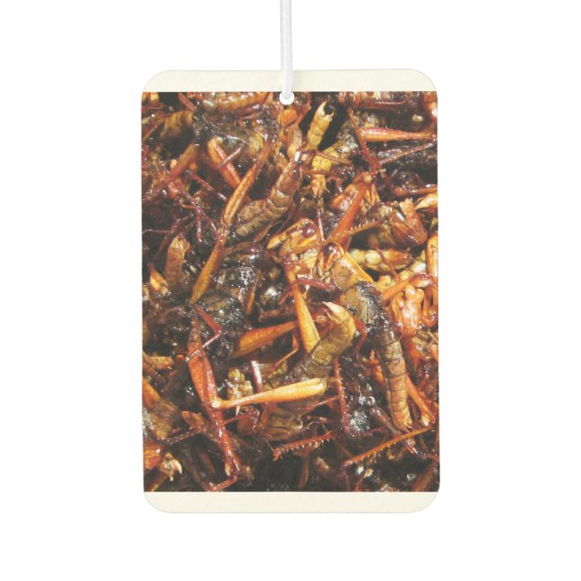 Fried Grasshopper (Takkataen Thot) Asian Food Air Freshener (Front)