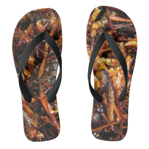Fried Grasshopper (Takkataen Thot) Asian Food Flip Flops