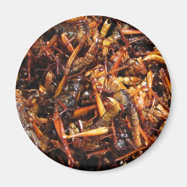 Fried Grasshopper (Takkataen Thot) Asian Food Magnet (Front)