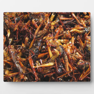 Fried Grasshopper (Takkataen Thot) Asian Food Plaque