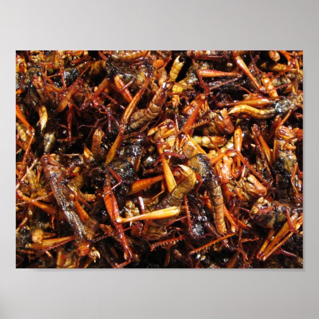 Fried Grasshopper (Takkataen Thot) Asian Food Poster (Front)