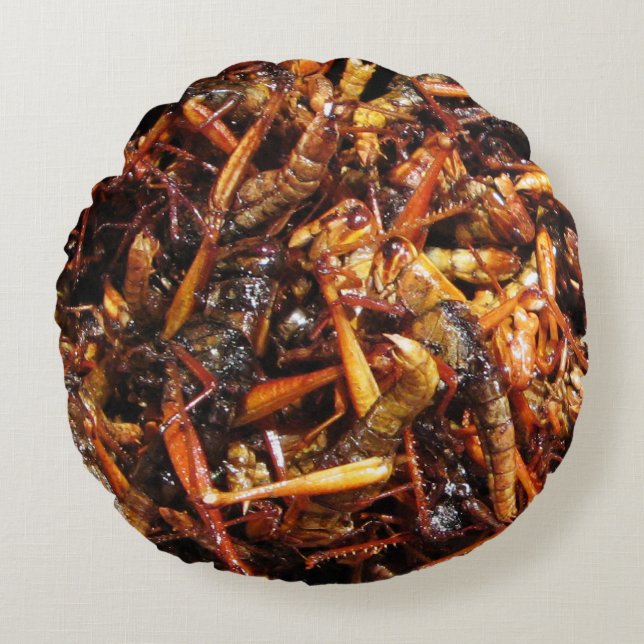 Fried Grasshopper (Takkataen Thot) Asian Food Round Pillow (Front)