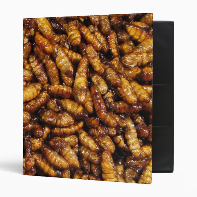 Fried Silk Worms ... Thai Street Food Binder (Front/Inside)