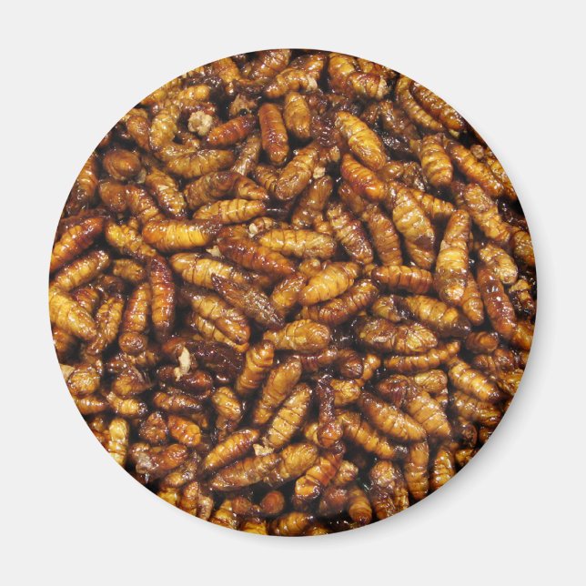 Fried Silk Worms ... Thai Street Food Magnet (Front)