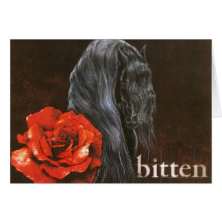 Frieisian Horse "Bitten"