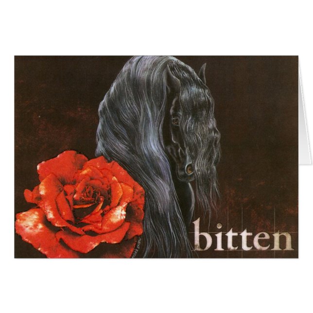 Frieisian Horse "Bitten" (Front Horizontal)