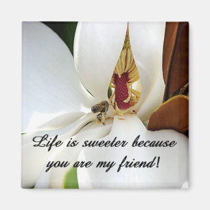 Friend Magnet