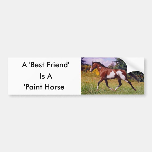 Friend Paint Horse Bumper Sticker (Front)