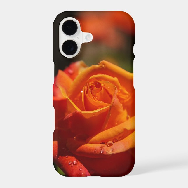 Friend rose (Back)