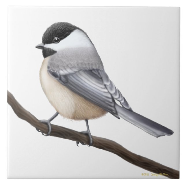 Friendly Black Capped Chickadee Bird Tile (Front)