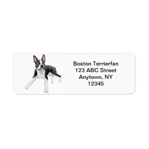 Friendly Boston Terrier Customizable