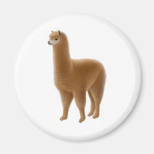Friendly Brown Alpaca Magnet