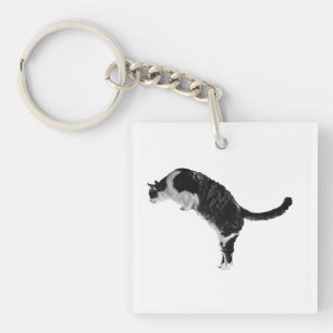 Friendly Cat Key Keychain