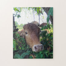 Friendly Cows 11x14" Jigsaw Puzzle