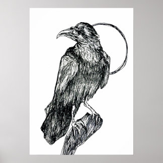 Friendly Crow Poster