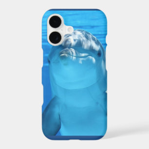 Friendly Dolphin Photo