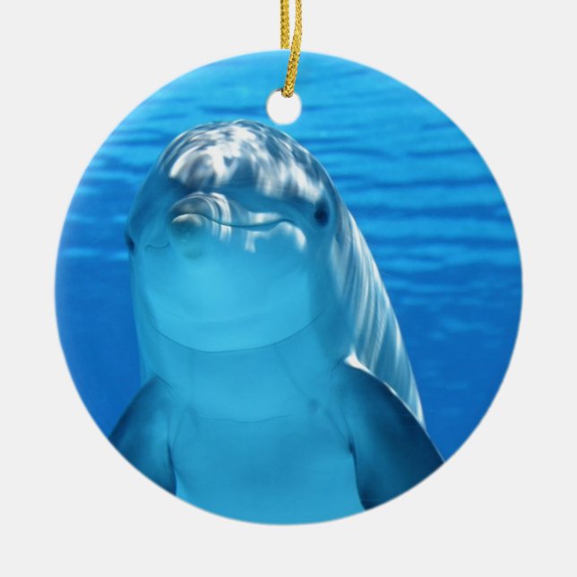 Friendly Dolphin Photo Ceramic Ornament (Front)