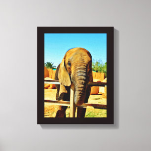 Friendly Elephant Canvas Print