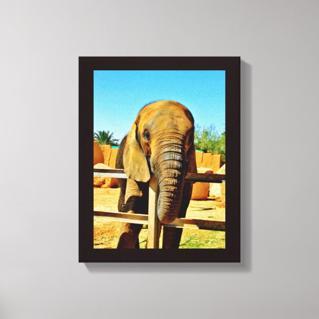 Friendly Elephant Canvas Print (Front)