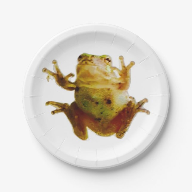 Friendly Frog 4Frank Paper Plate (Front)