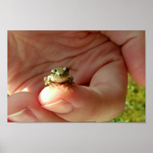 Friendly Frog on a Finger Poster
