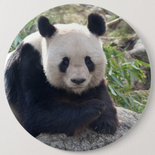 Friendly Giant Panda 6 Inch Round Button