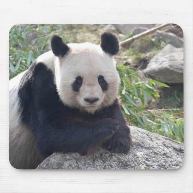 Friendly Giant Panda Mouse Pad (Front)