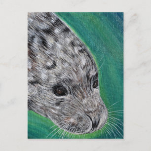 Friendly Harbour Seal Painting Postcard