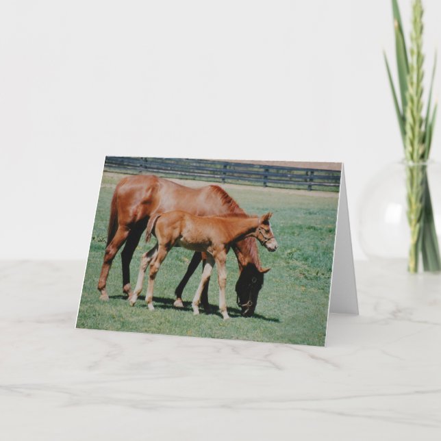 FRIENDLY HORSES CARD (Front)