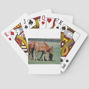 FRIENDLY HORSES PLAYING CARDS