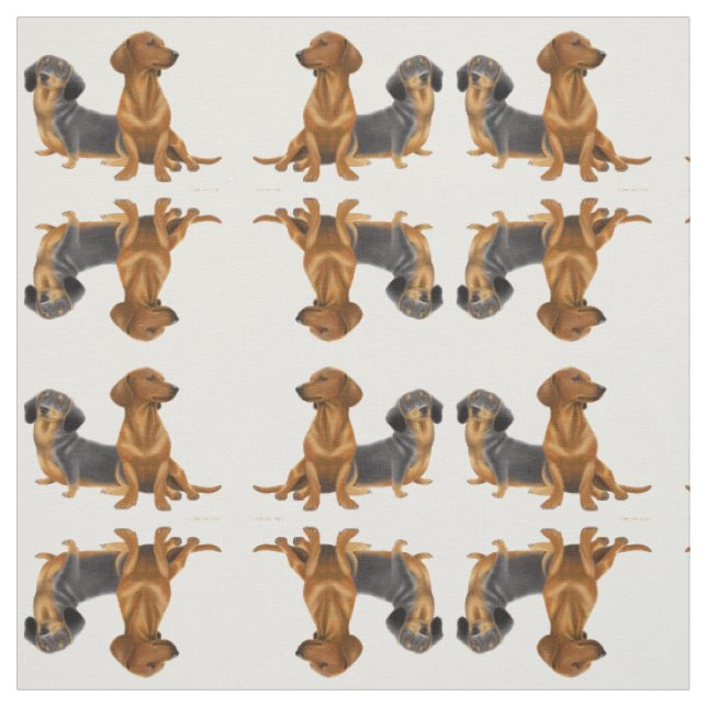 Friendly Little Dachshund Dogs Fabric (Swatch)