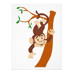 Friendly Monkey Photo Print