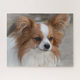 Friendly Papillon Puppy Dog Jigsaw Puzzle