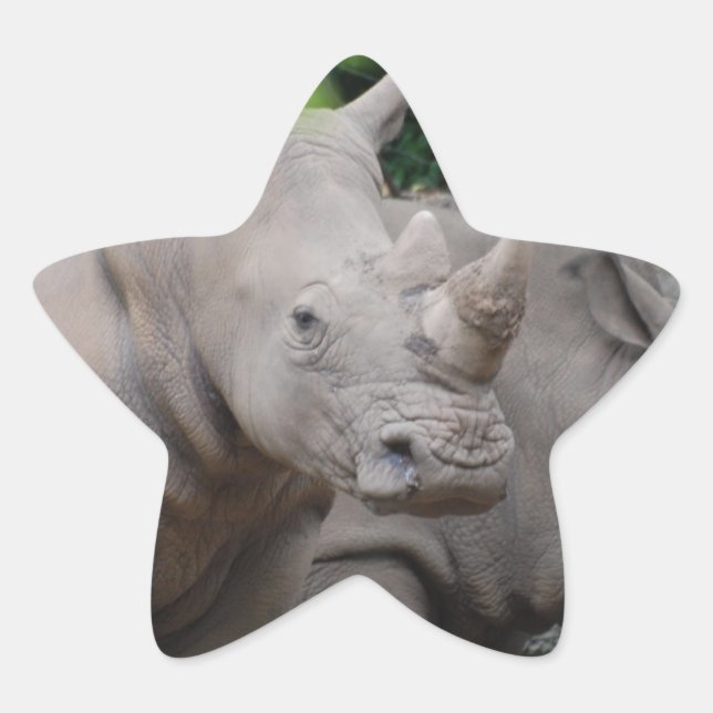 Friendly Rhino Star Sticker (Front)