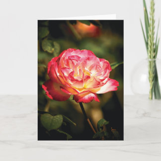 Friendly Rose Card