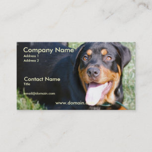 Friendly Rottweiler Dog Business Card