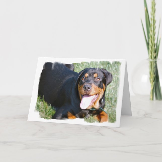 Friendly Rottweiler Greeting Card (Front)