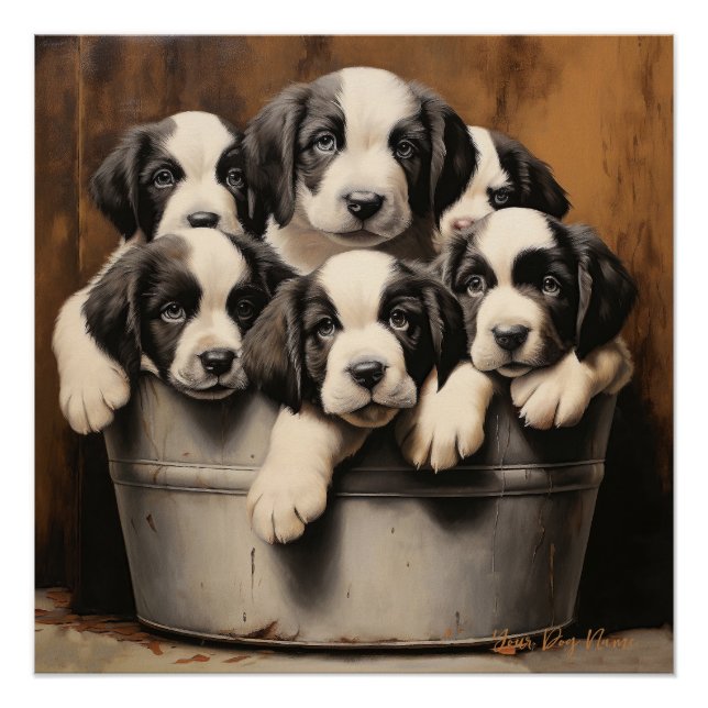 Friendly Saint Bernard Puppy Dogs  001 - Raimon Pa Poster (Front)