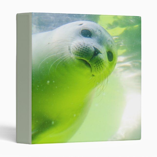 Friendly Seal Binder (Front/Spine)