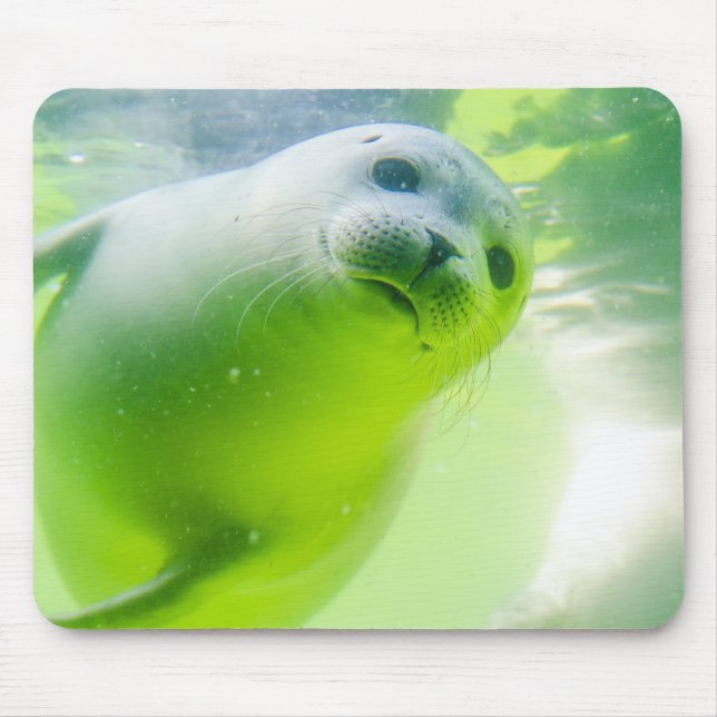 Friendly Seal Mouse Pad (Front)
