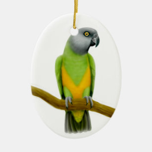 Friendly Senegal Parrot Ornament