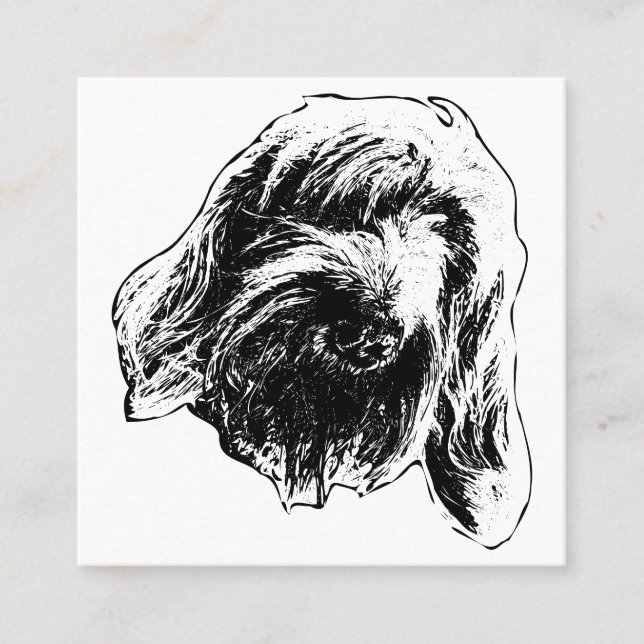Friendly Spinone Touch Square Business Card (Front)