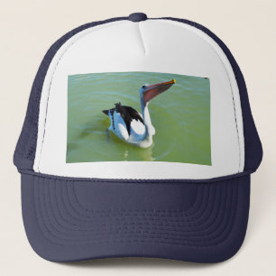 Friendly Swimming Pelican, Hat