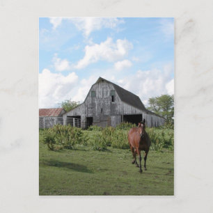 Friendly Welcome Postcard