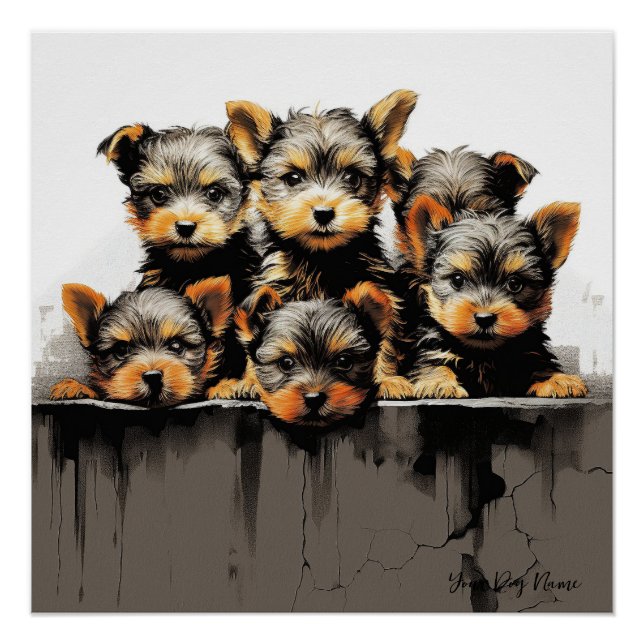 Friendly Yorkshire Terrier Puppy Dogs  001 - Raimo Poster (Front)