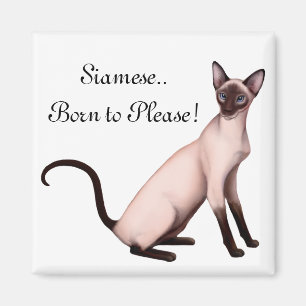 Friendly Young Siamese Cat Customizable Magnet