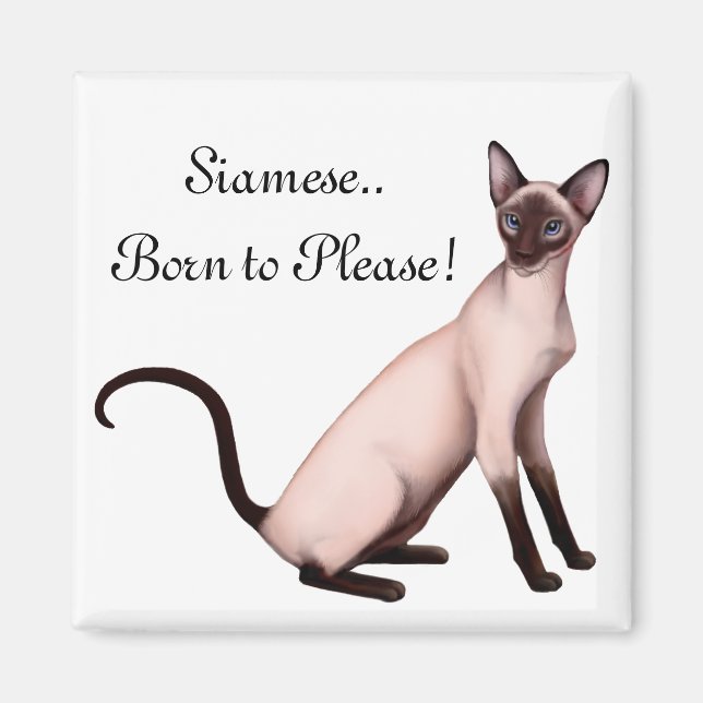 Friendly Young Siamese Cat Customizable  Magnet (Front)